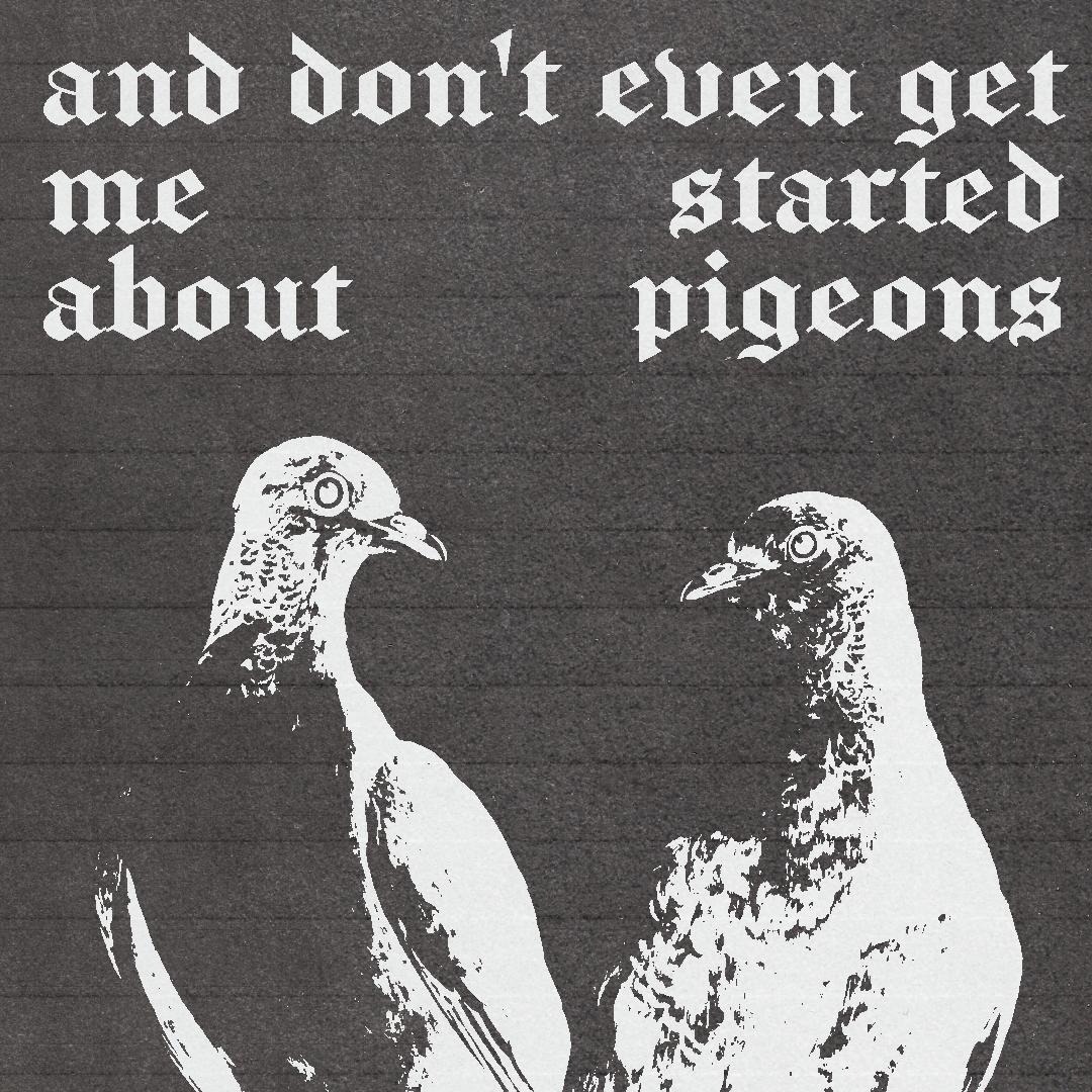 And don't even get me started about pigeons.