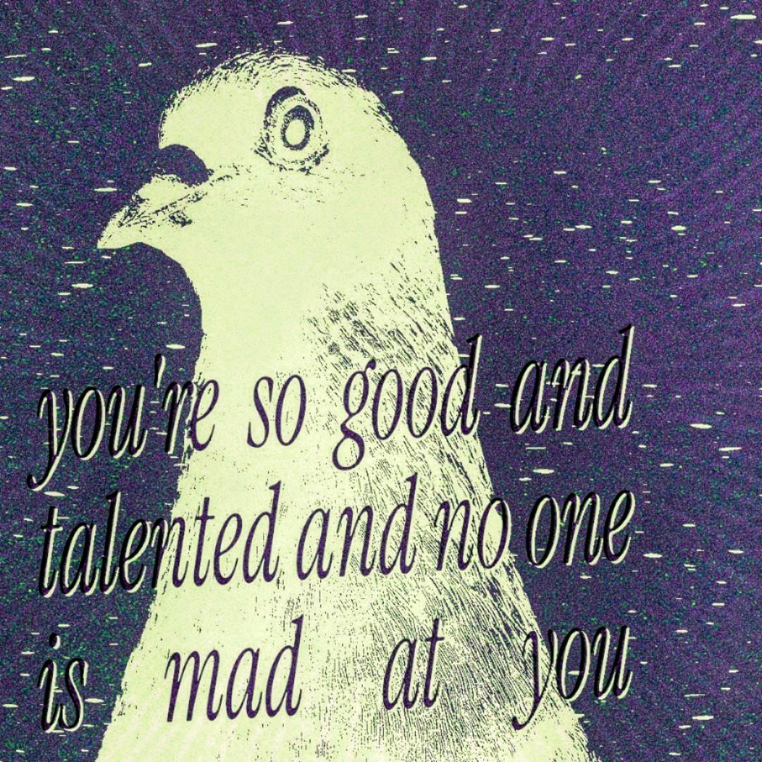 You're so good and talented and no one is mad at you