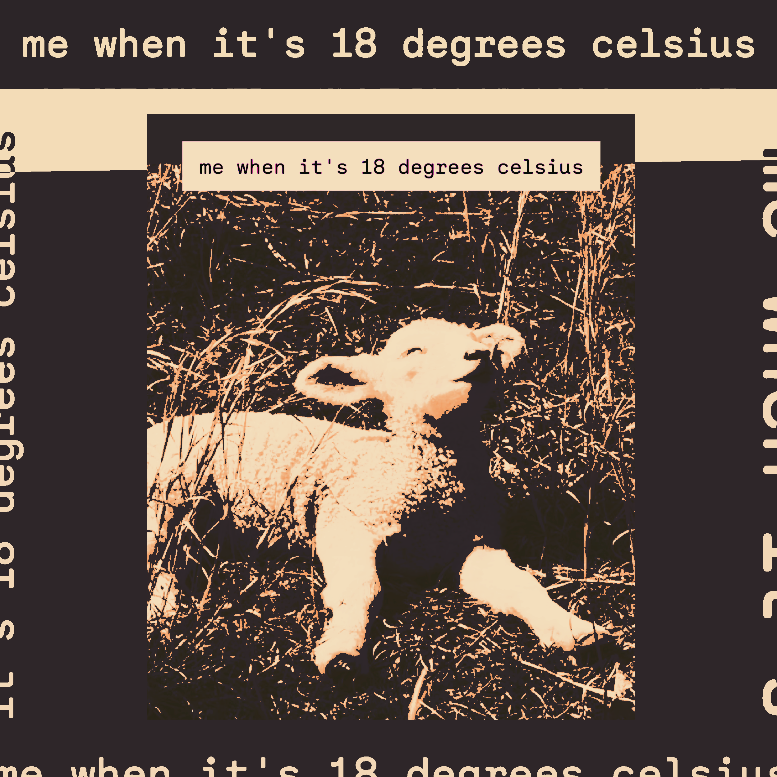 Me when it's 18 degrees celsius